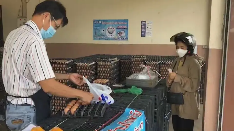 แผงไข่สงขลาตรึงราคาเดิม สวนกระแสไข่ปรับขึ้นฟองละ 3 บาท