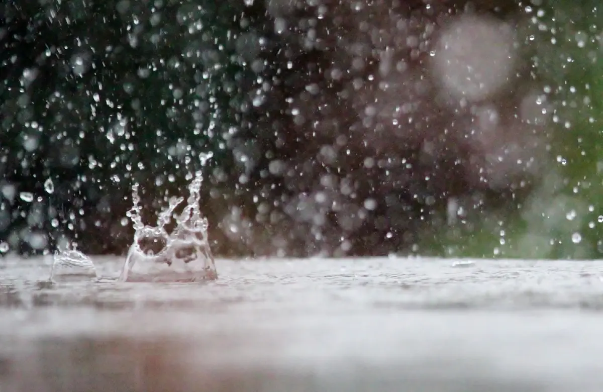 กรมอุตุฯ เตือนภาคใต้มีฝนหนัก 12 จังหวัดระวังท่วมฉับพลัน น้ำป่าหลาก