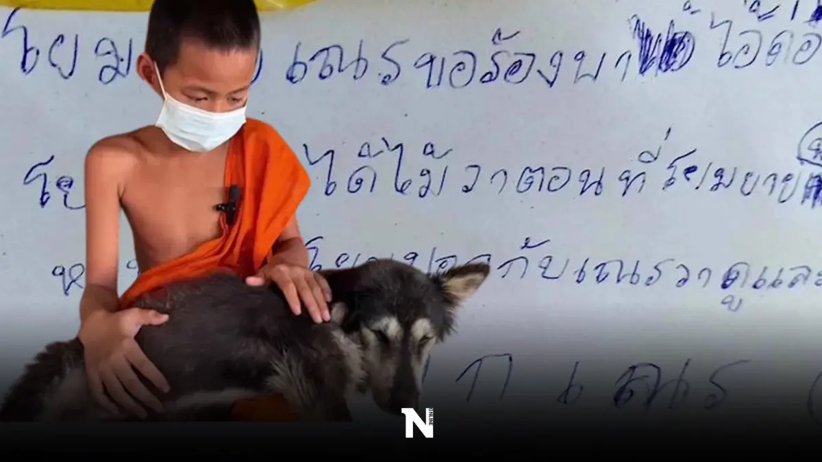 "เณรน้อย" เขียนจดหมายสุดซึ้งถึง โยมยาย วอนขอช่วยพา "เจ้าดุ่ย" ไปหาหมอหน่อย