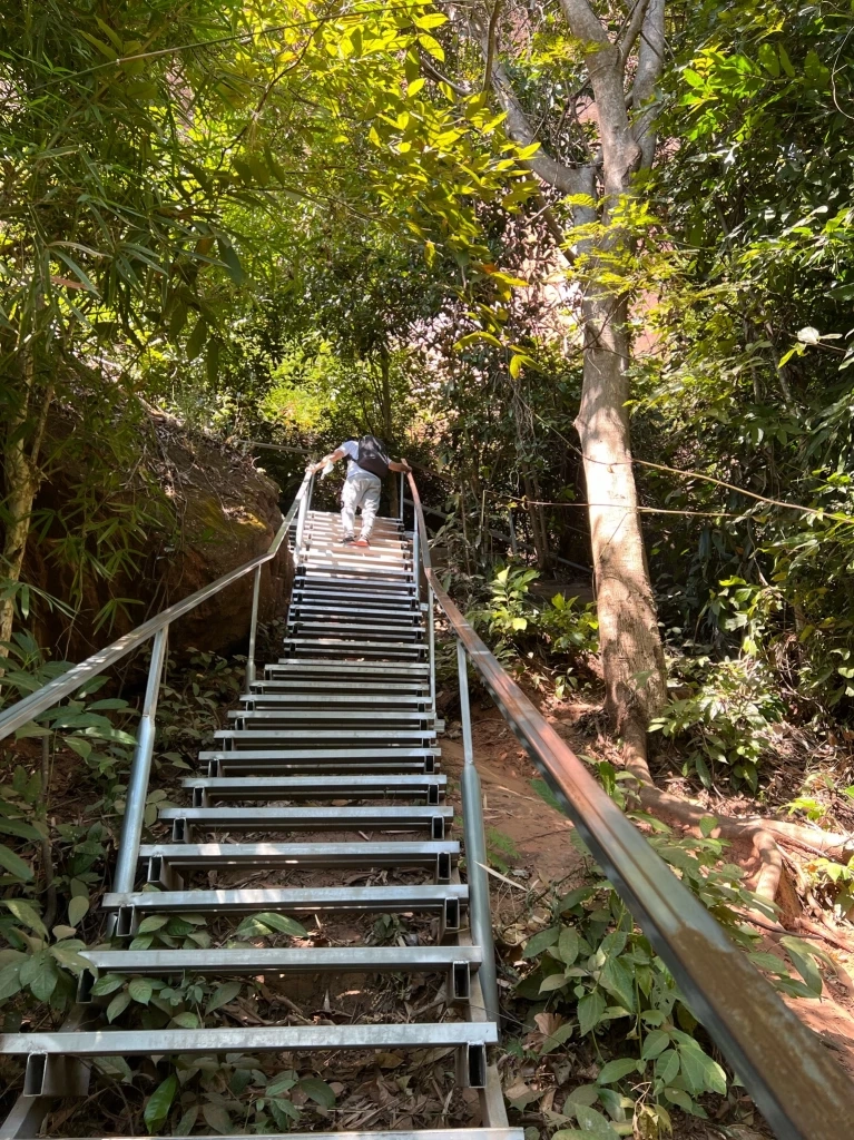 ประกาศปิด "ถ้ำนาคา" ฟื้นฟูธรรมชาติและซ่อมแซมบันไดขึ้น-ลง 1 เดือนเต็ม