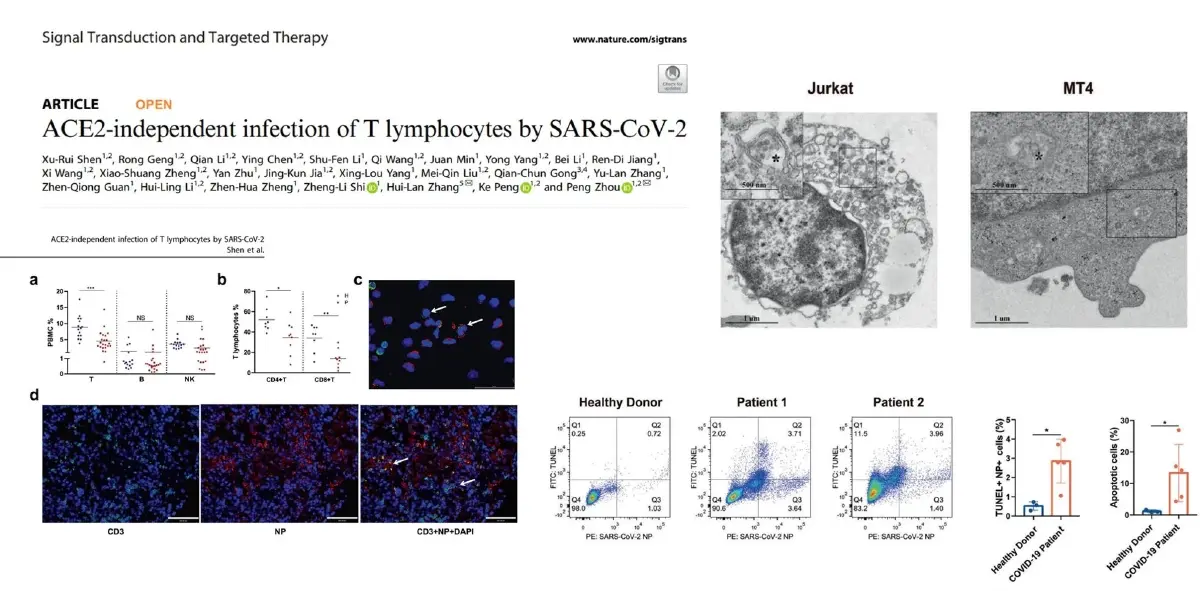 ดร.อนันต์เผย ทำไม  SARS CoV 2 ไม่เหมือน HIV ไวรัสไม่ทำให้ภูมิคุ้มกันบกพร่อง
