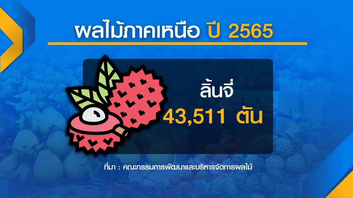 ฟรุ้ทบอร์ดหวั่นโควิดถล่มจีนฉุด 'ส่งออก' ผลไม้ไทย