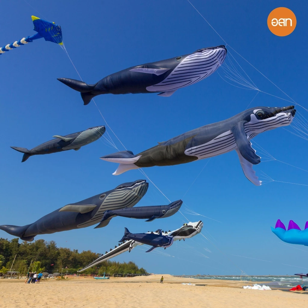 เริ่มแล้ว “เทศกาลว่าวนานาชาติ ปี65”  ซัมเมอร์นี้ ชวนหนีร้อนมาเล่นว่าว