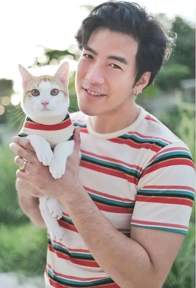 “โย่ง อาร์มแชร์” ใจหายวาบ..โพสต์เล่าแมวรักหาย รวมพลตามหาให้วุ่น