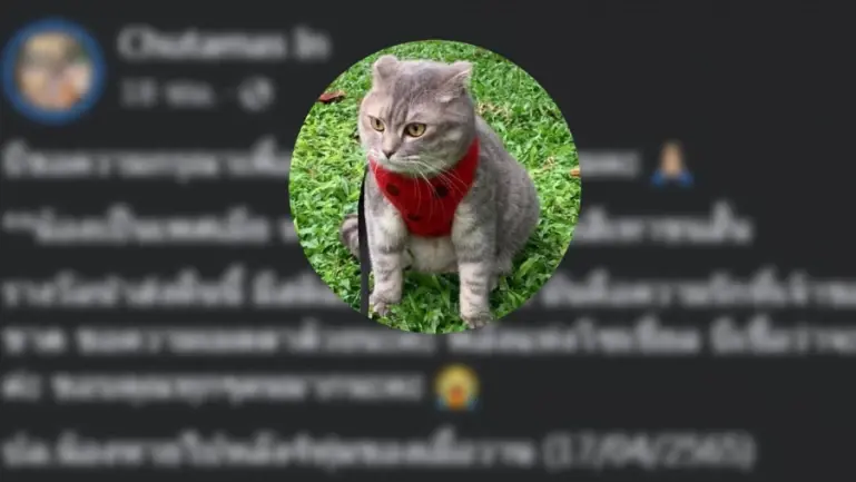 ประกาศตามหา "มณี" มีสินน้ำใจให้ 3 แสนบาท