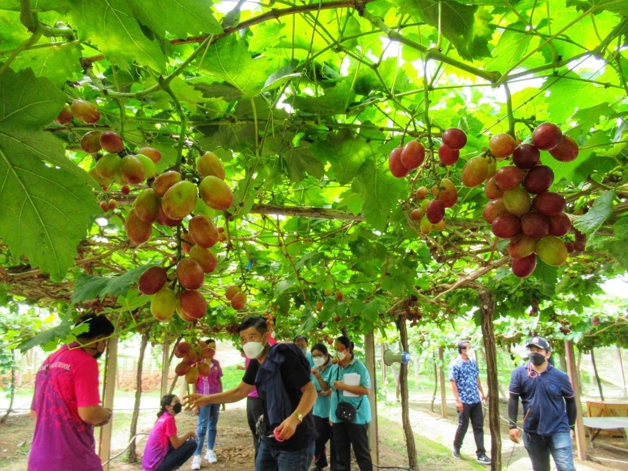 ขอบคุณภาพจากเพจ โรงเรียนบ้านสันดาบ จ.สมุทรสาคร