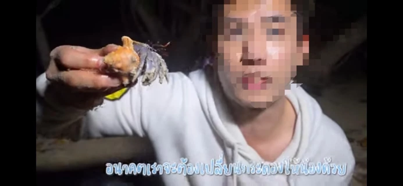 ดราม่ายูทูบเบอร์ดัง จับปูเสฉวนไปเลี้ยง นักอนุรักษ์กราบเท้าขอ 15 ชีวิตคืน