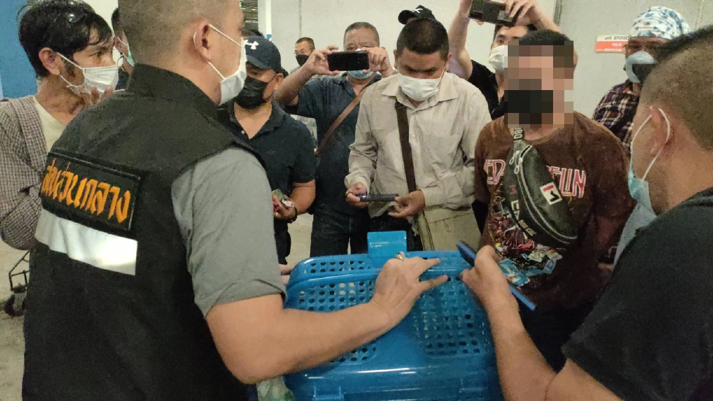 ปทส.รวบ 3 ผตห.ลักลอบค้า“ลูกเสือโคร่ง”