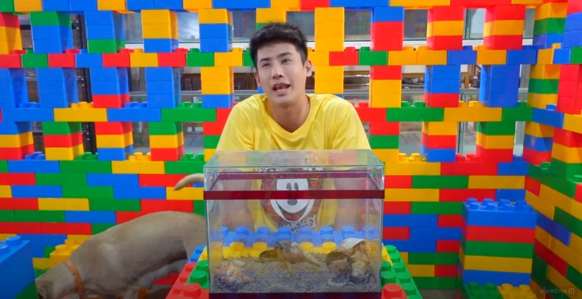 ดราม่ายูทูบเบอร์ดัง จับปูเสฉวนไปเลี้ยง นักอนุรักษ์กราบเท้าขอ 15 ชีวิตคืน