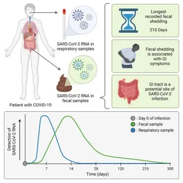 ดร.อนันต์ เผยพบ RNA โควิดในอุจจาระผู้ป่วย ช่วงกักตัวควรแยกใช้ห้องน้ำ