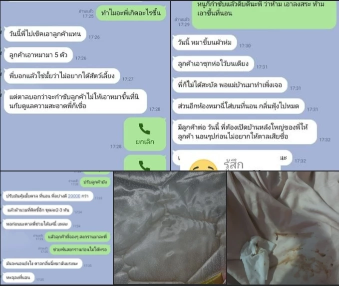 ดราม่าลูกค้าปล่อยหมาอึหมกผ้าห่มรีสอร์ต  ล่าสุดเจ้าของหมาเคลื่อนไหวแล้ว