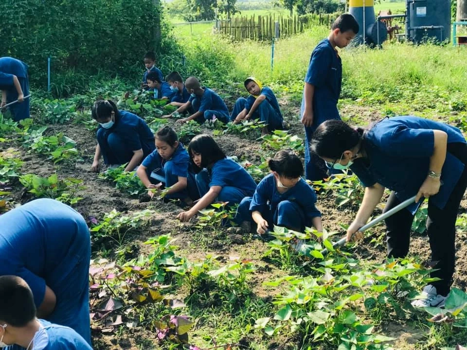 ขอบคุณภาพจากเพจโรงเรียนบ้านหนองป่าก่อ จ.เชียงราย