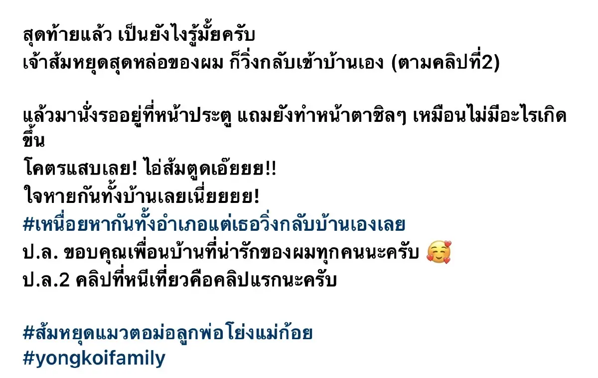 “โย่ง อาร์มแชร์” ใจหายวาบ..โพสต์เล่าแมวรักหาย รวมพลตามหาให้วุ่น