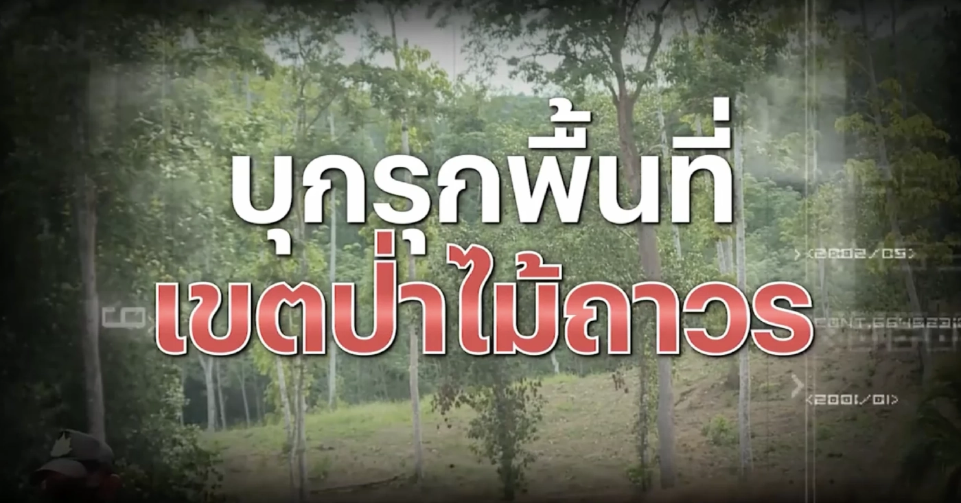 สืบสวนความจริง : เขาหัวโล้น"จุดชมวิวเสม็ดนางชี"รุกป่าไม้ถาวร