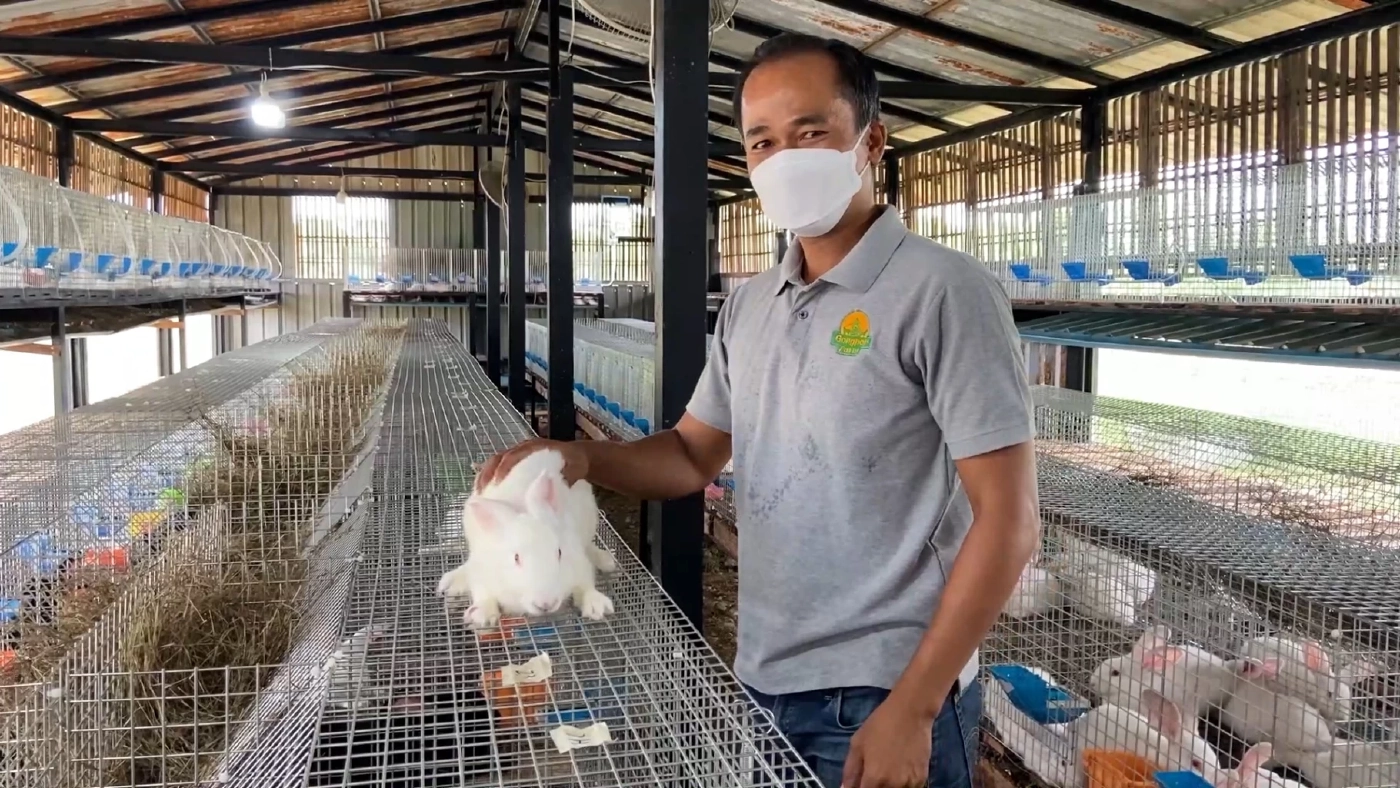 กระต่ายเนื้อต้นทุน 'ต่ำ' สุดปังราคาสูง 150 บาท/กก.