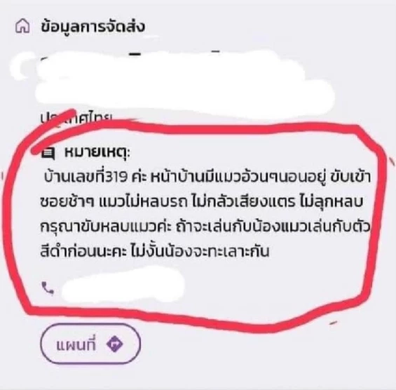 เปิดโฉม "แมวอ้วนตัวแสบ" ที่โซเชียลตามหา หลังแจ้งไรเดอร์ระวังนอนไม่หลบรถ 