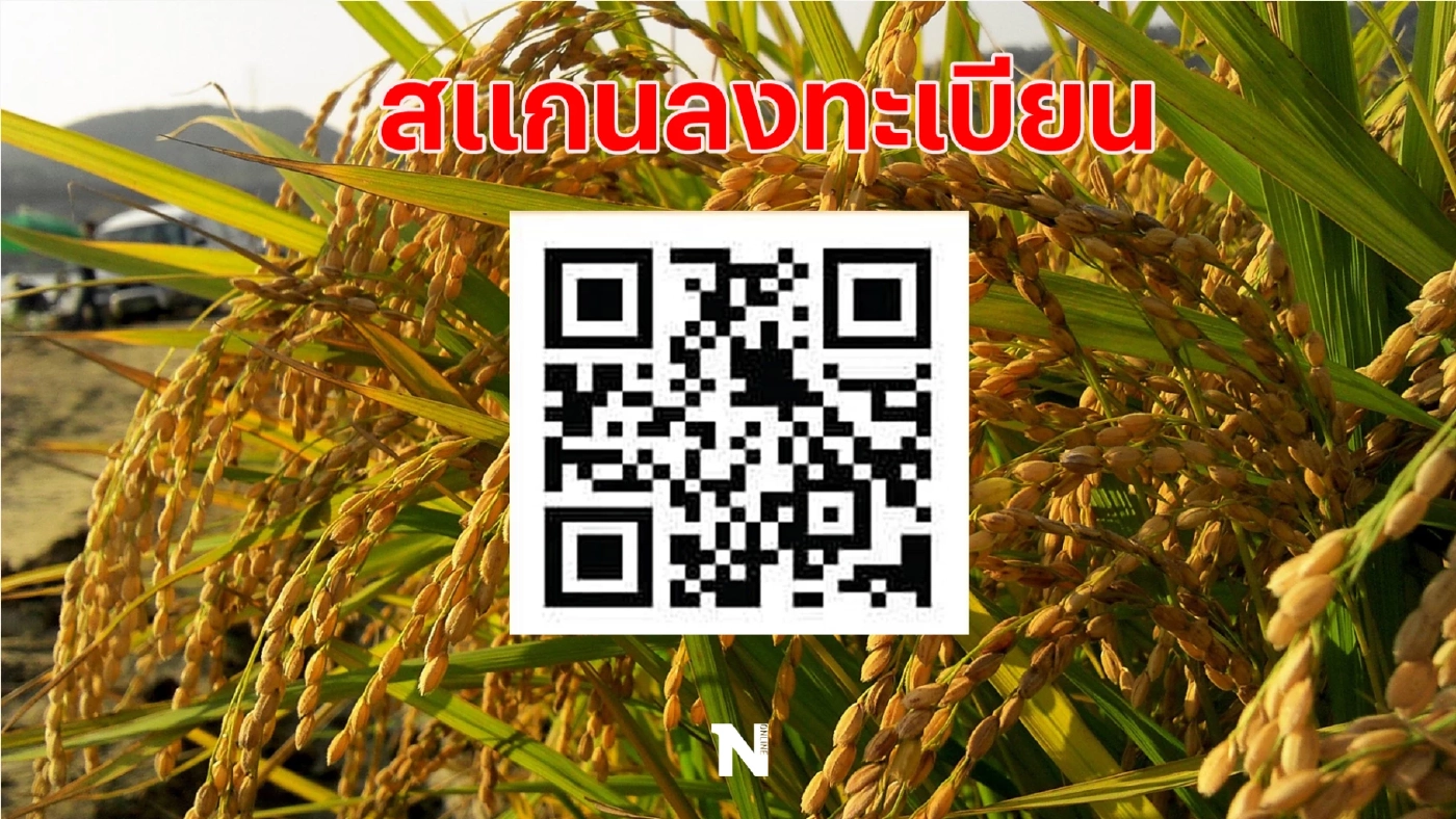 เปิดขั้นตอนลงทะเบียนรับฟรี "พันธุ์ข้าวพระราชทาน" เนื่องในวันพืชมงคล 2565