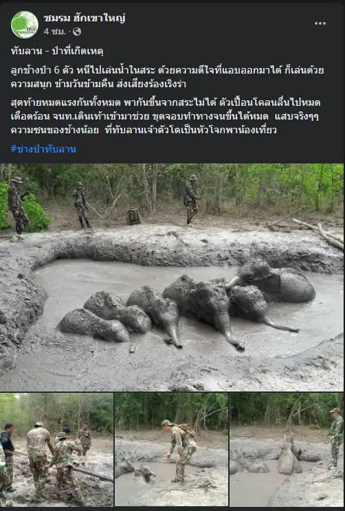 โพสต์ของเพจชมรมฮักเขาใหญ่