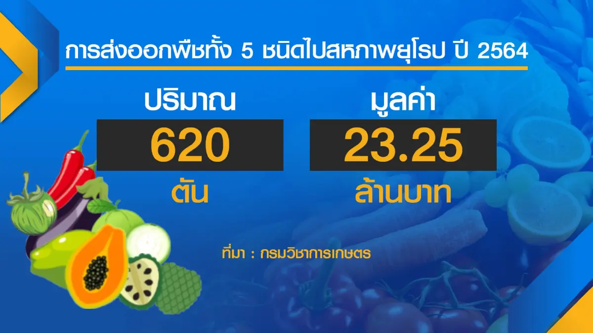 อียูเปิดรับ 5 ผลไม้ไทยหลังปราบ 'แมลงวัน' สำเร็จ