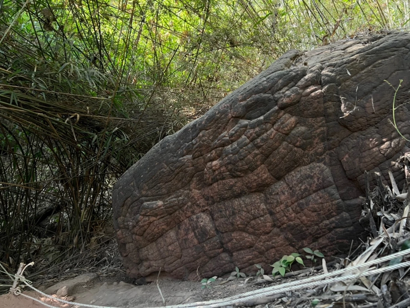 ประกาศปิด "ถ้ำนาคา" ฟื้นฟูธรรมชาติและซ่อมแซมบันไดขึ้น-ลง 1 เดือนเต็ม