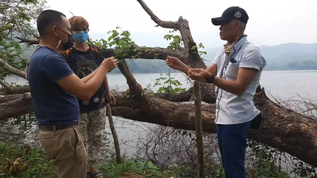 ไม่ต้องลงทุน!  ขาย 'จักจั่น' ทำเงิน 3 หมื่น/เดือน