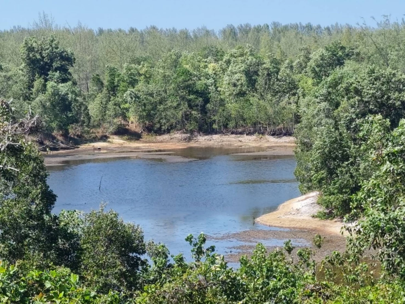 บริเวณพื้นที่เกาะพระทอง ที่ทช.ชี้ว่าเป็นการรุกป่าชายเลน ภายใต้การดูแลของ ทช. 