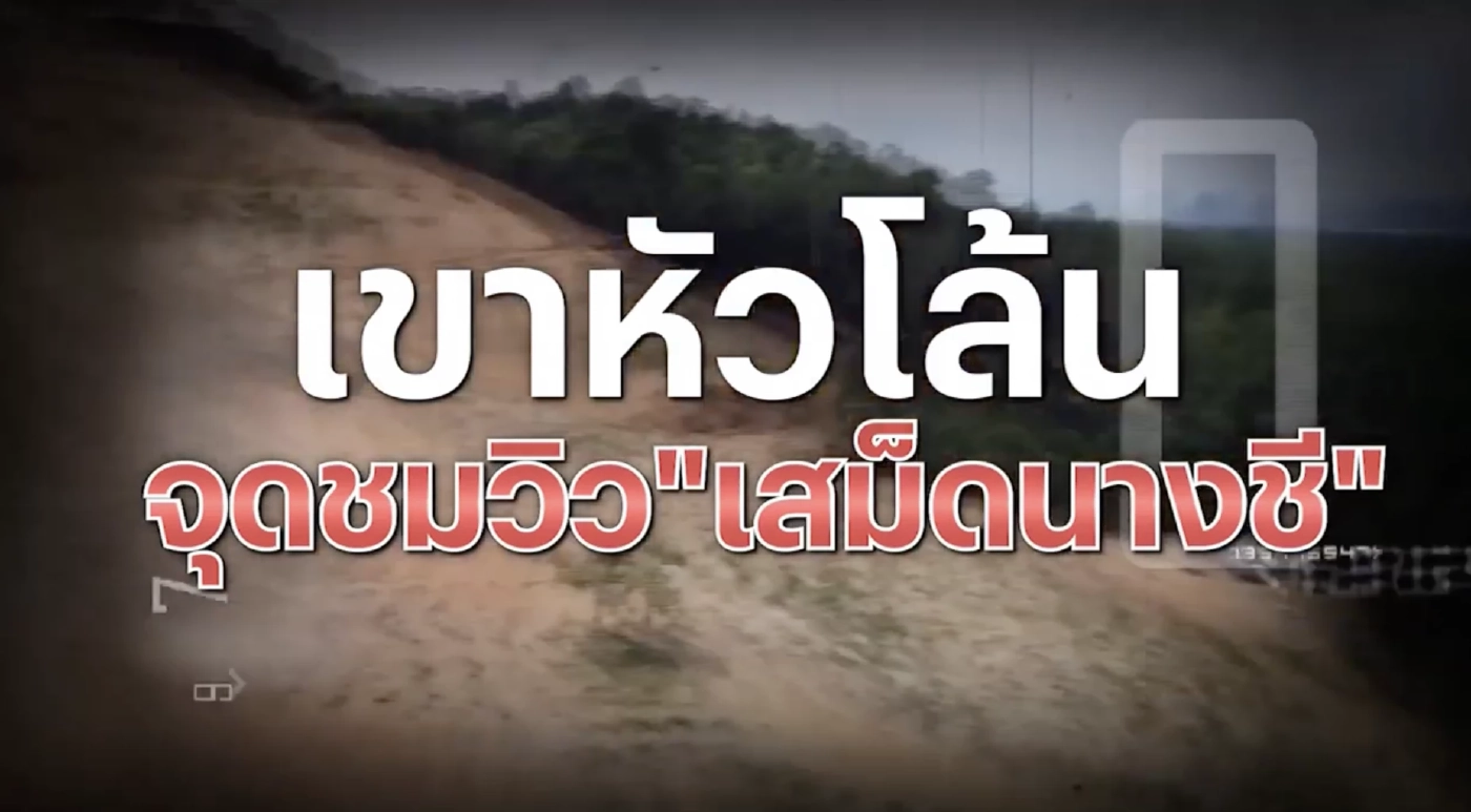สืบสวนความจริง : เขาหัวโล้น"จุดชมวิวเสม็ดนางชี"รุกป่าไม้ถาวร