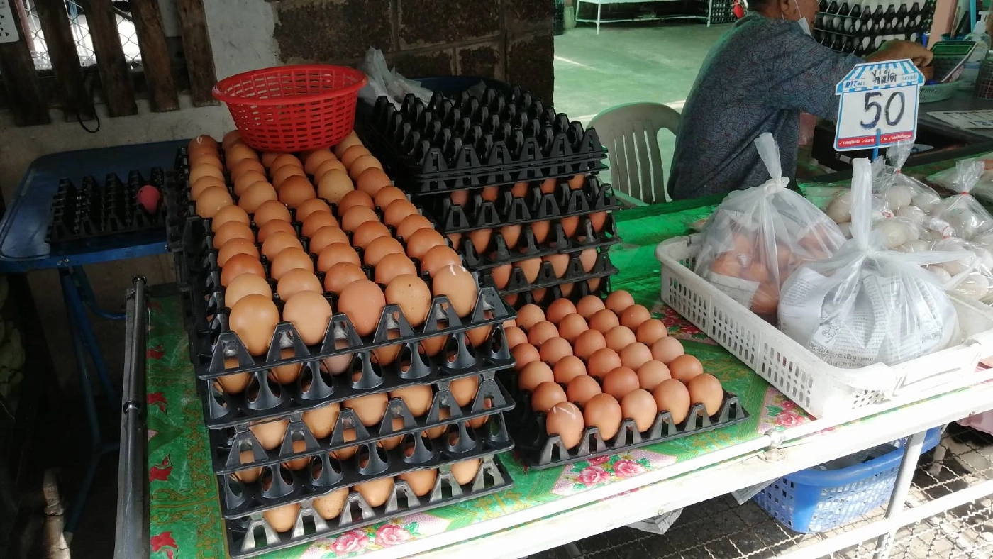แผงไข่เชียงใหม่ตรึงราคาสู้พิษเศรษฐกิจ
