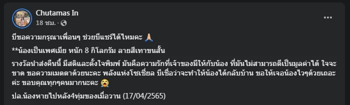 เจ้าของโพสต์ตามหา "แมวหาย" ตั้งรางวัลสินน้ำใจ 3 แสนบาท 