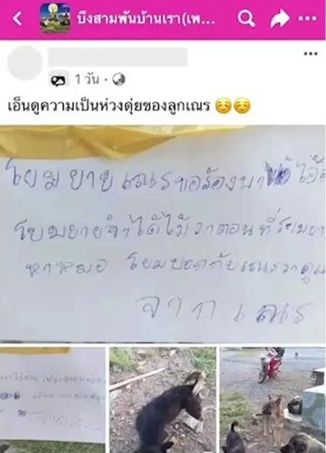 "เณรน้อย" เขียนจดหมายสุดซึ้งถึง โยมยาย วอนขอช่วยพา "เจ้าดุ่ย" ไปหาหมอหน่อย
