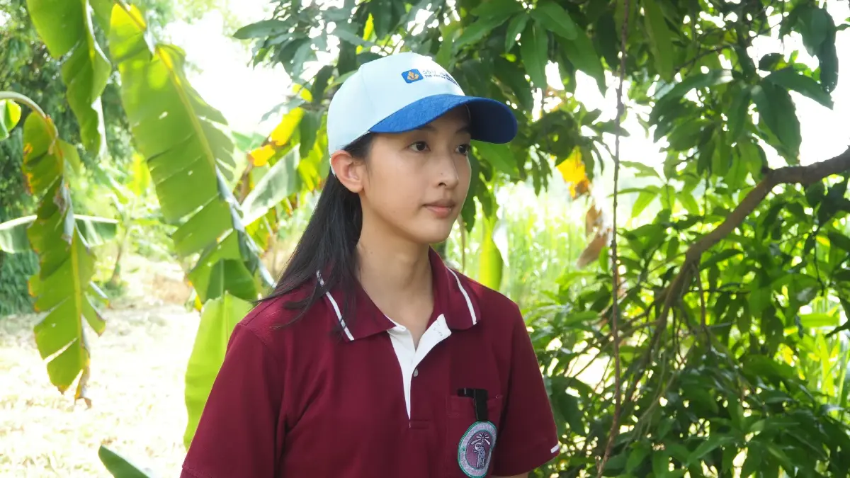 วิริยะประกันภัย ส่งเสริมปลูกหญ้าเนเปียร์ถูกและดีเลี้ยงช้าง