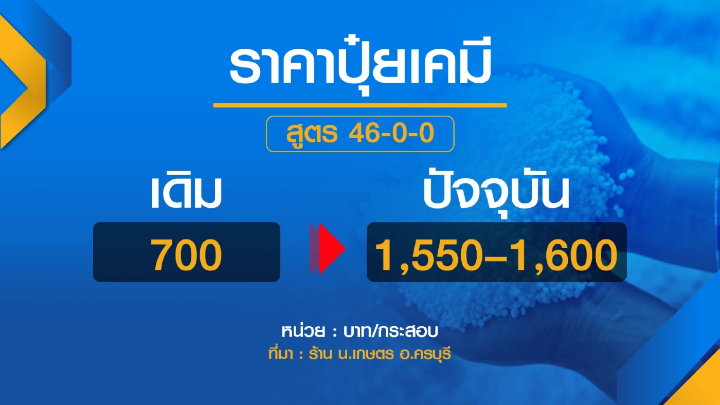 ปุ๋ยยูเรียราคาพุ่ง 1,600 บาท/ กระสอบ เหตุสงครามรัสเซีย – ยูเครน