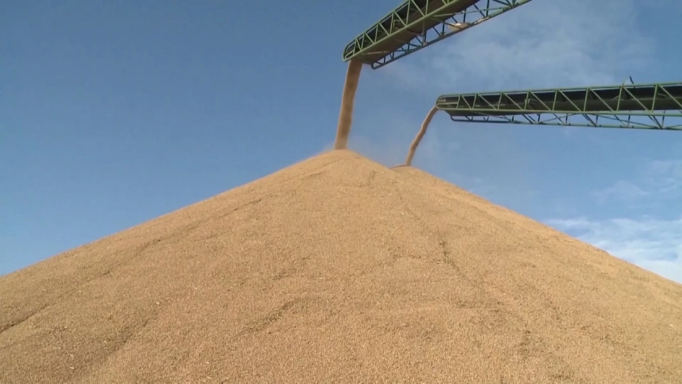 วิเคราะห์ สงครามรัสเซีย-ยูเครนป่วนตลาดธัญพืช (คลิป)