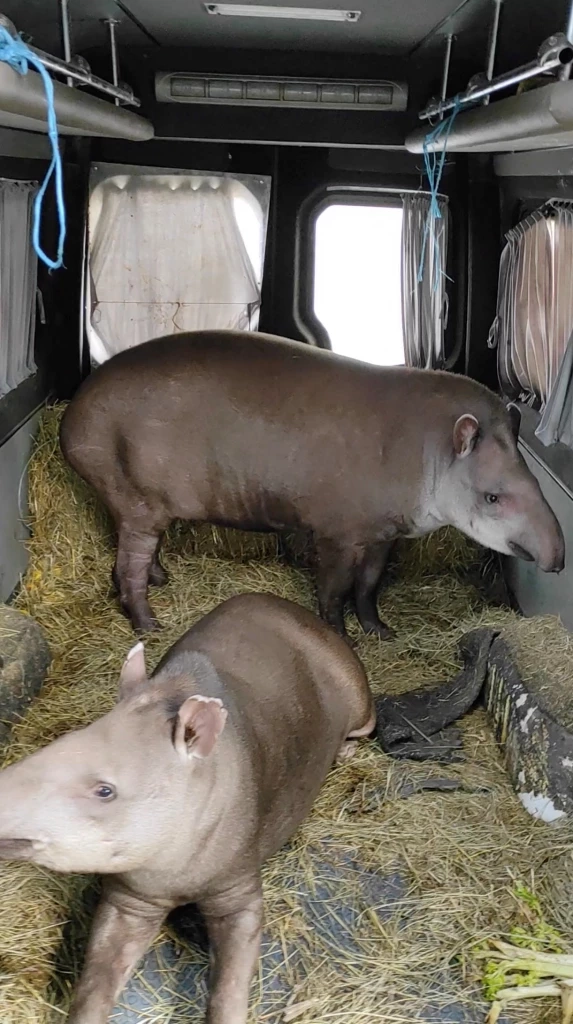 สัตว์จากสวนสัตว์เฟลด์แมน อีโคพาร์ค ในเมืองคาร์คีฟ