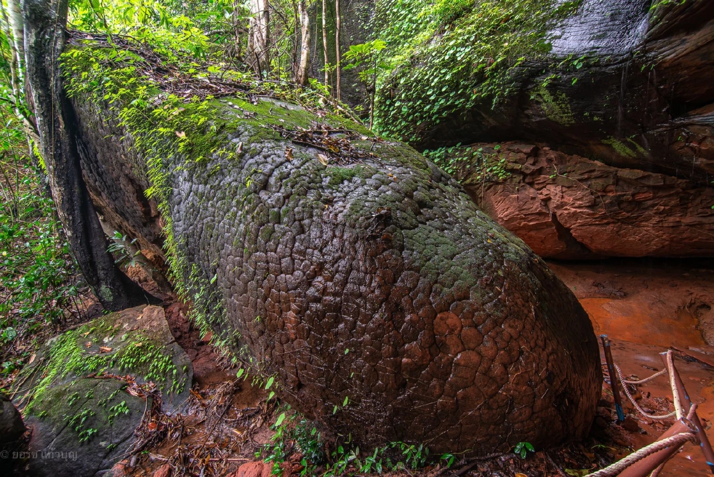 ประกาศปิด "ถ้ำนาคา" ฟื้นฟูธรรมชาติและซ่อมแซมบันไดขึ้น-ลง 1 เดือนเต็ม