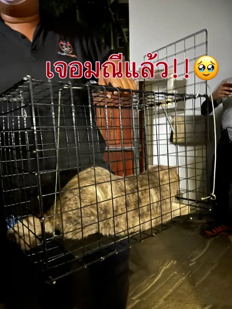 เจ้าของโพสต์พบตัว "มณี" แล้ว
