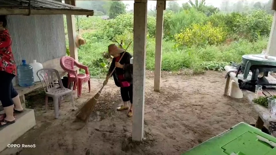 ผวาไส้เดือนนับล้านตัวบุกบ้านพักหวั่นเป็นลางบอกเหตุอาจเกิดน้ำท่วมใหญ่