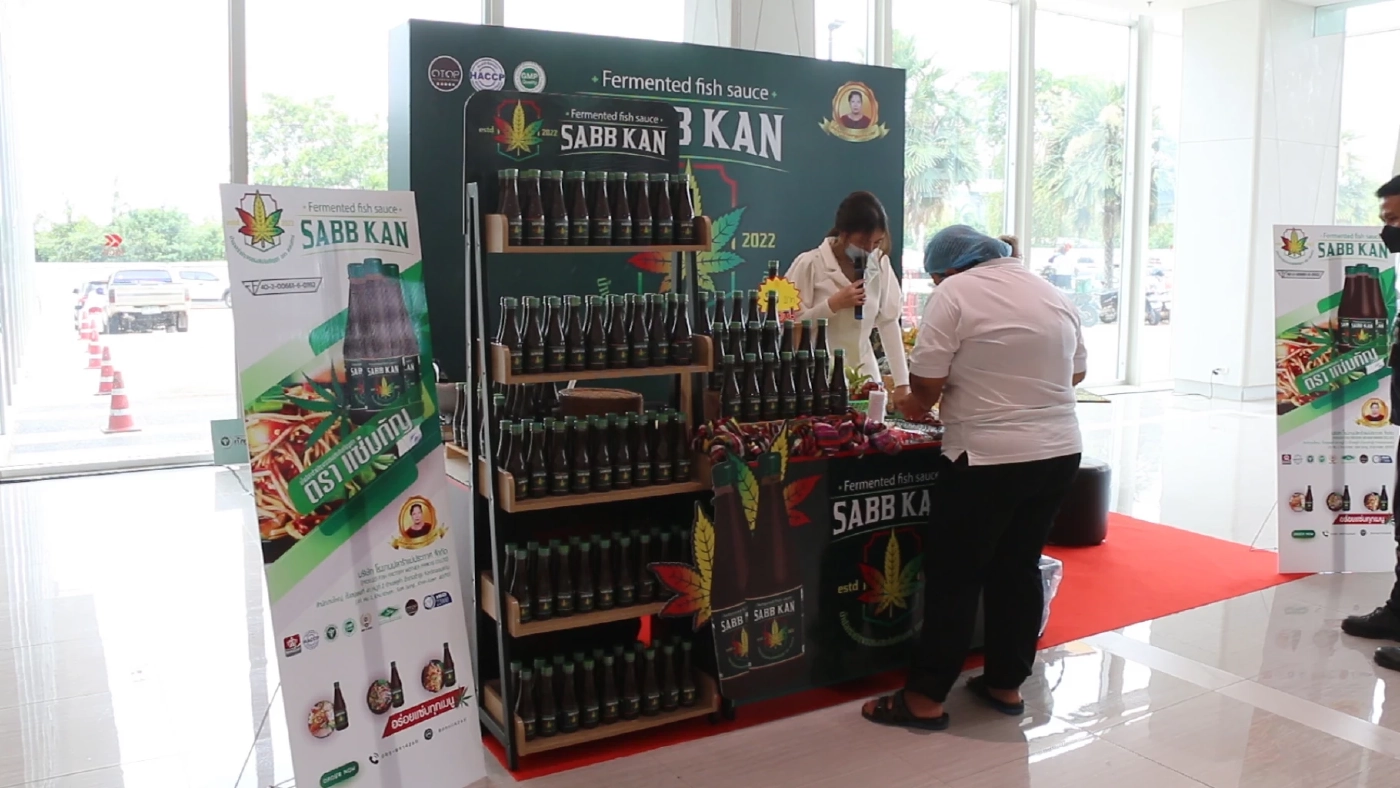 “อนุทิน”เตรียมเยียวยาผู้ถูกจับกุมปลูกกัญชาเพื่อบำบัดรักษา