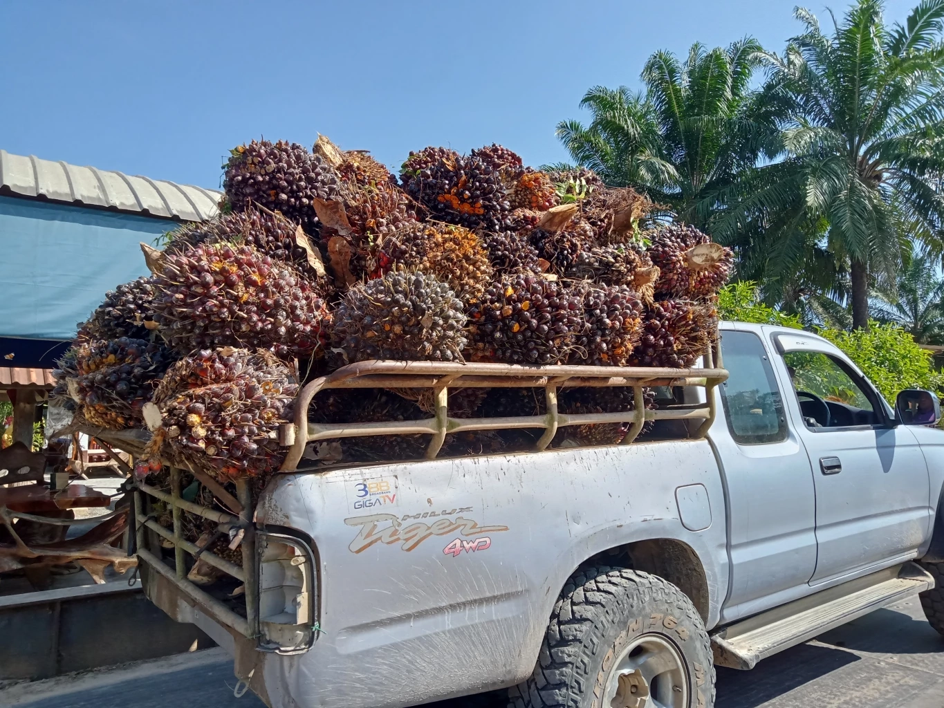 “จุรินทร์” ย้ำดูแลทั้งระบบ ตรึงราคา"น้ำมันปาล์ม" ไม่ให้ขาดตลาด