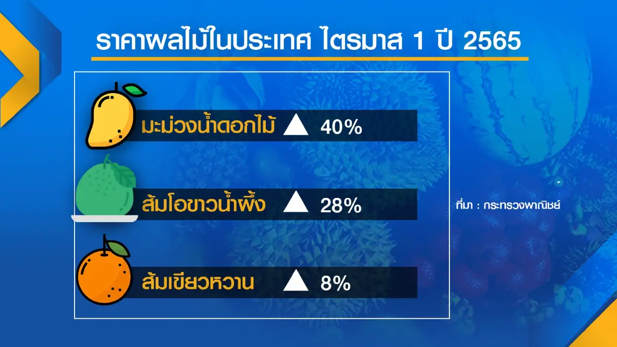 พาณิชย์กาง 3 แนวทางกระจาย 'ผลไม้' 5.6 แสนตัน