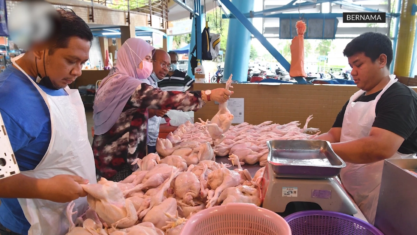 มาเลเซียระงับส่งออกไก่เริ่ม มิ.ย. หลังขาดแคลน-ราคาพุ่ง