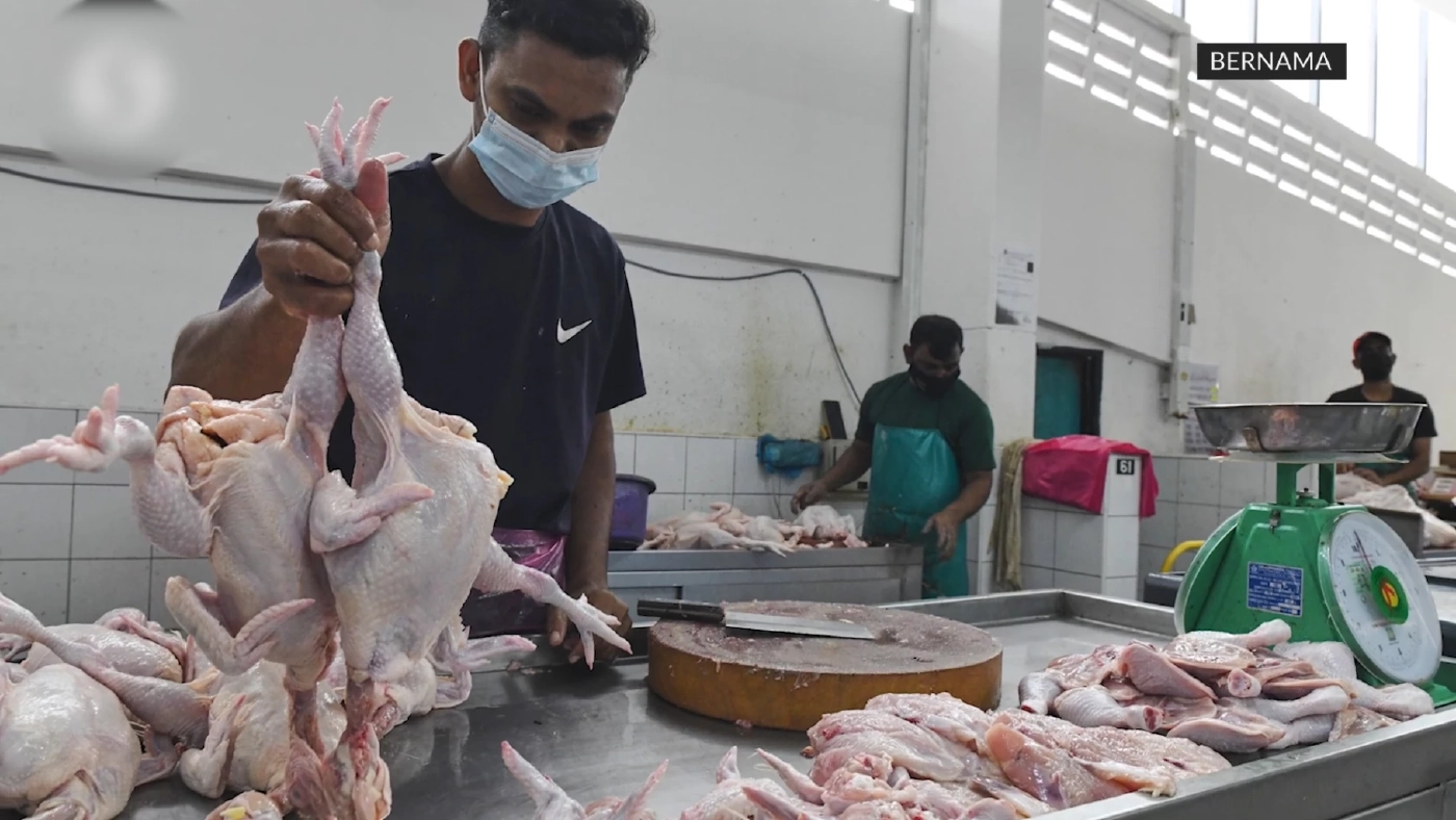 มาเลเซียระงับส่งออกไก่เริ่ม มิ.ย. หลังขาดแคลน-ราคาพุ่ง