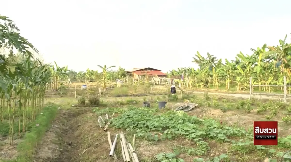 สืบสวนความจริง : “ธนาคารที่ดิน” กระจายการถือครองที่ดินเป็นธรรมยั่งยื่น