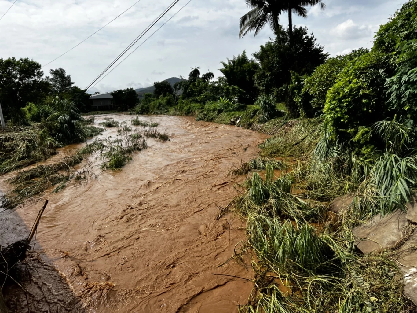 เชียงราย-น้ำป่าไหลหลากเข้าท่วมบ้านเรือน พื้นที่เกษตร เสียหาย หลายอำเภอ