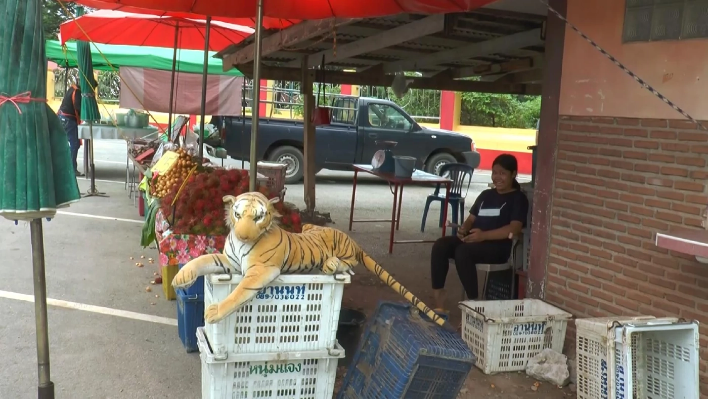 อุทัยธานี- ลิงเขาปฐวีขาดอาหาร ด้านชาวบ้าน ไม่หวั่น "ฝีดาษ-มาลาเรียโนวไซ"