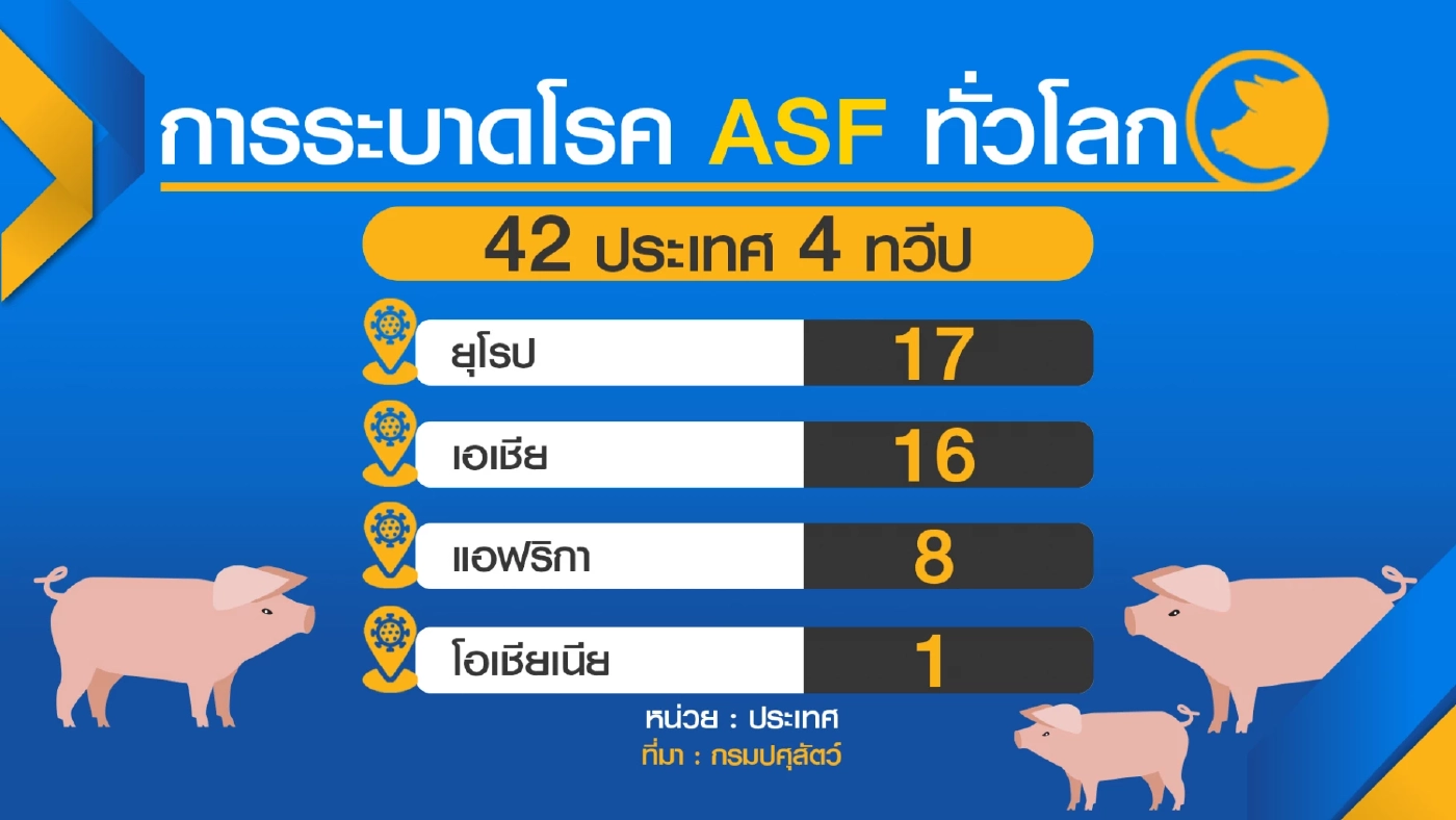 กระทรวงเกษตรฯ มั่นใจปราบอหิวาต์ 'หมู' อยู่หมัด