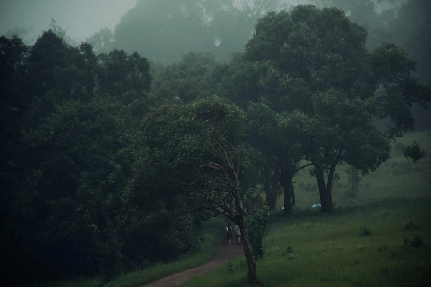 โพสต์ เพจเฟซบุ๊ก อุทยานแห่งชาติเขาใหญ่ - Khao Yai National Park