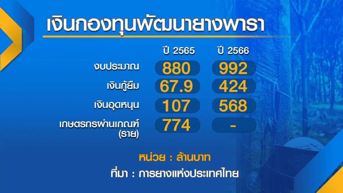 การยางแห่งประเทศไทยจ่อรื้อเกณฑ์ 'ปล่อยกู้' กองทุนฯ