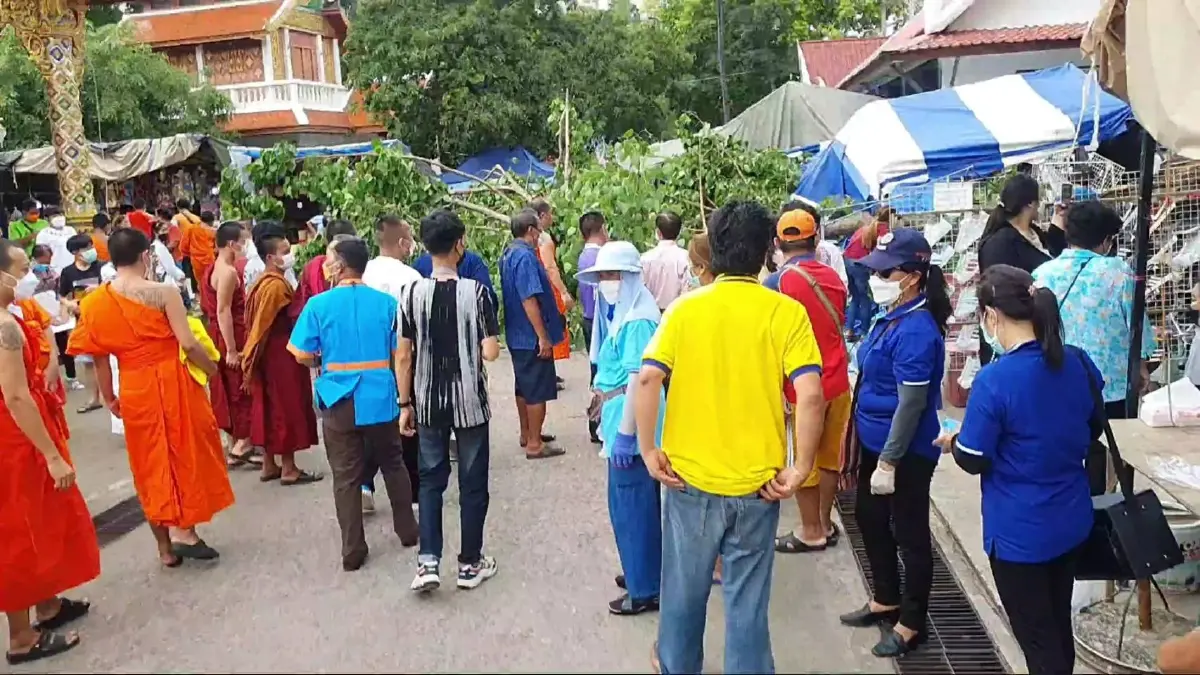 อาเพศ! ต้นโพธิ์โบราณวัดศรีโคมคำ อายุกว่า 100 ปี ล้ม ขณะมีงานประเพณีแปดเป็ง