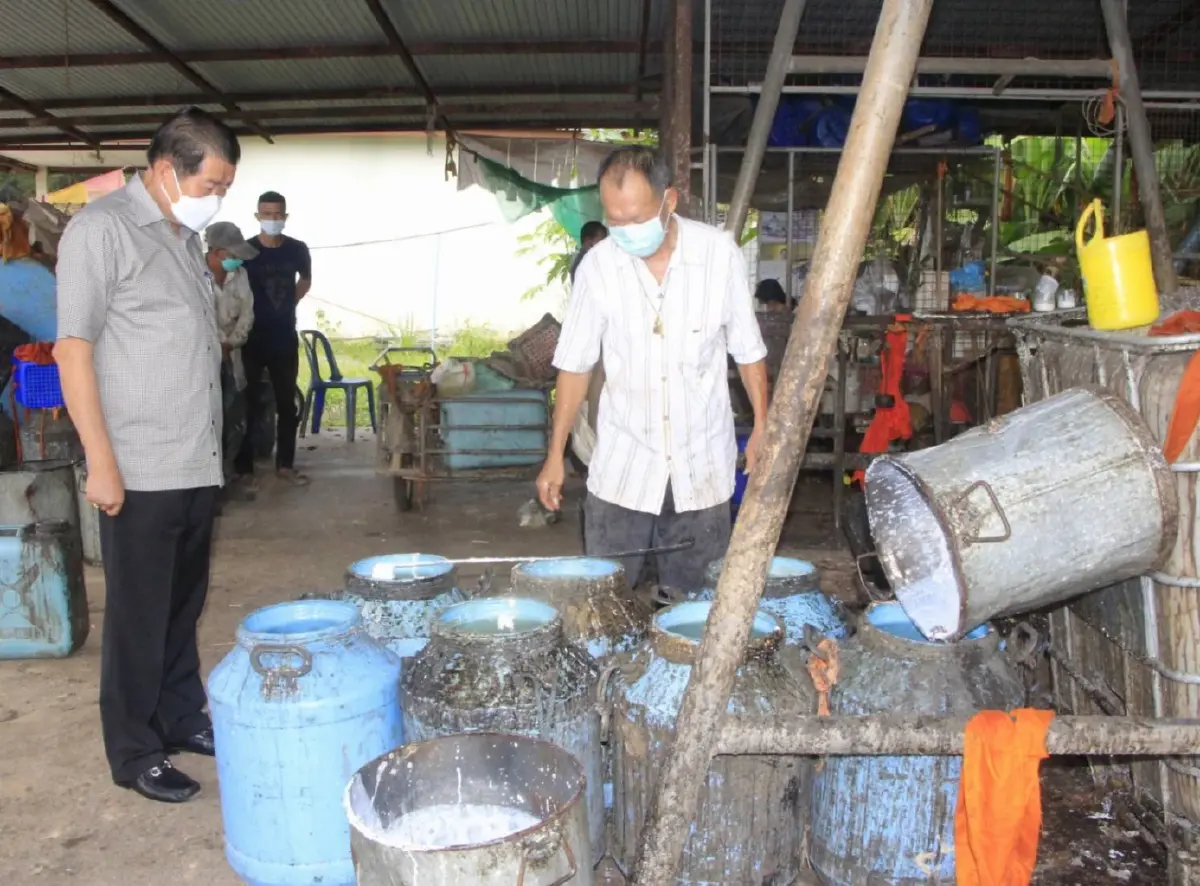"นิพนธ์"ยันปชป.-รัฐบาลดูแลเกษตรกรเต็มที่หลังราคาน้ำยางพุ่งแตะ 64 บาท